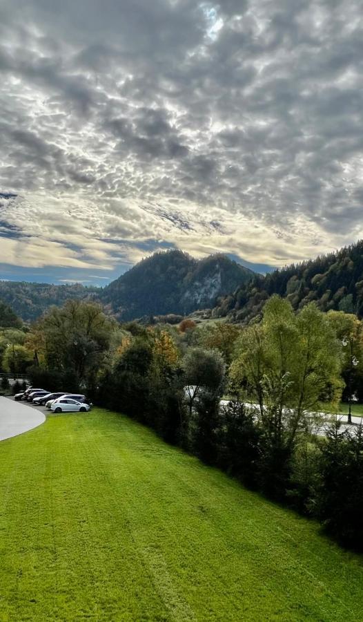 Willa Folk Pieniny Szczawnica Eksteriør bilde