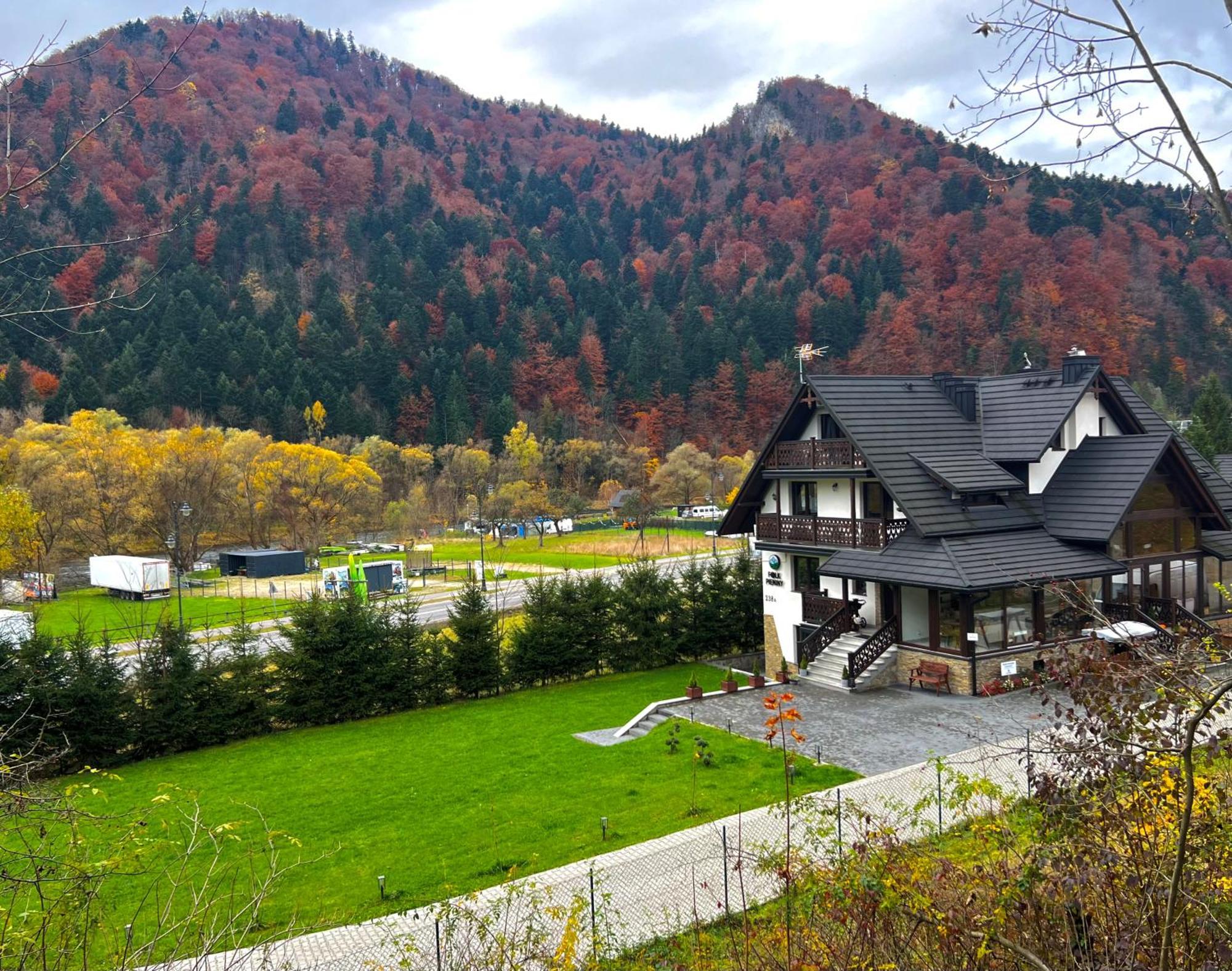 Willa Folk Pieniny Szczawnica Eksteriør bilde